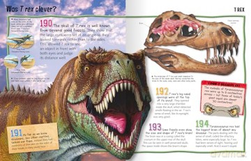 Wild About Dinosaurs [KSIĄŻKA]