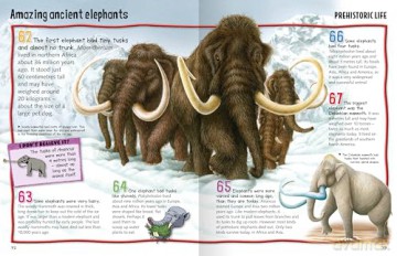 Wild About Dinosaurs [KSIĄŻKA]
