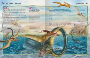 Wild About Dinosaurs [KSIĄŻKA]