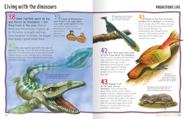 Wild About Dinosaurs [KSIĄŻKA]