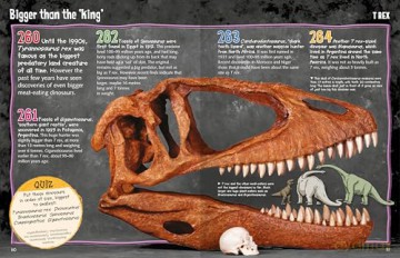 Wild About Dinosaurs [KSIĄŻKA]