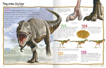 Wild About Dinosaurs [KSIĄŻKA]