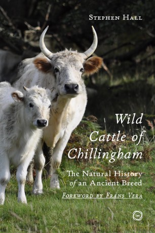 Wild Cattle of Chillingham: The Natural History of an Ancient Breed - Stephen Hall [KSIĄŻKA]