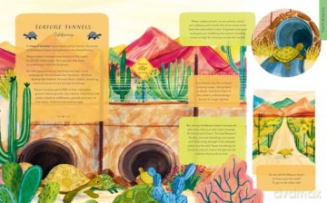 Wild Crossings: How people help animals find their way home - Rachel Ip [KSIĄŻKA]