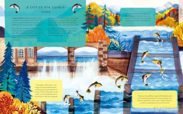 Wild Crossings: How people help animals find their way home - Rachel Ip [KSIĄŻKA]