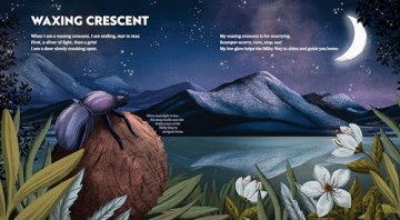 Wild Moon: How the Lunar Phases Light Up Our World - Andie Powers [KSIĄŻKA]