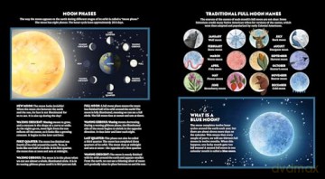 Wild Moon: How the Lunar Phases Light Up Our World - Andie Powers [KSIĄŻKA]