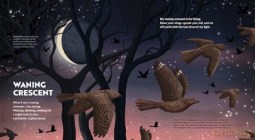 Wild Moon: How the Lunar Phases Light Up Our World - Andie Powers [KSIĄŻKA]