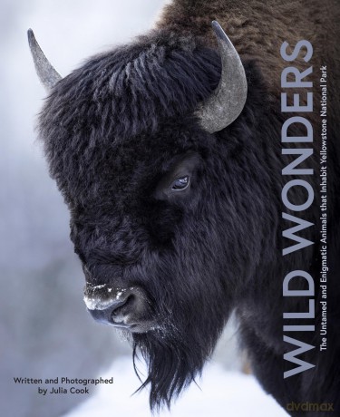 Wild Wonders: The Untamed and Enigmatic Animals that Inhabit Yellowstone National Park - Julia Cook [KSIĄŻKA]