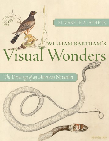 William Bartram's Visual Wonders: The Botanical Drawings of an American Naturalist - Elizabeth A Athens [KSIĄŻKA]