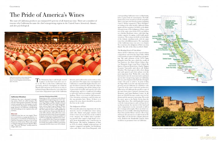 Wine from Grape to Glass: The Wines of the World and how they are Made - Jens Priewe [KSIĄŻKA]