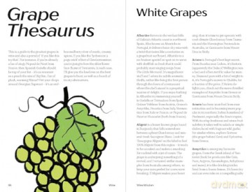 WINE: Everything You Need to Know - Olly Smith [KSIĄŻKA]
