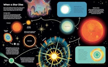 Wish Upon a Star: The Science, Magic and Meaning of Stars - Catherine Ard [KSIĄŻKA]