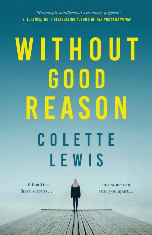 Without Good Reason - Colette Lewis [KSIĄŻKA]