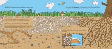 World of Mushrooms: Discover the Freaky, Fantastic Fungi That Lurk in the Woods, Pop Up in Lawns, and Sneak Around Underground - Pauline Payen [KSIĄŻKA]