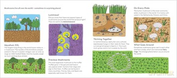 World of Mushrooms: Discover the Freaky, Fantastic Fungi That Lurk in the Woods, Pop Up in Lawns, and Sneak Around Underground - Pauline Payen [KSIĄŻKA]