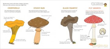 World of Mushrooms: Discover the Freaky, Fantastic Fungi That Lurk in the Woods, Pop Up in Lawns, and Sneak Around Underground - Pauline Payen [KSIĄŻKA]