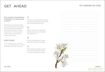 Your Gardening Year: What to Do When, Every Month of the Year - DK [KSIĄŻKA]