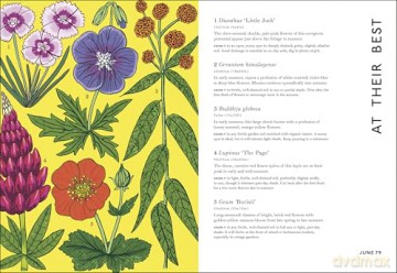 Your Gardening Year: What to Do When, Every Month of the Year - DK [KSIĄŻKA]