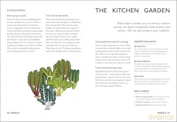 Your Gardening Year: What to Do When, Every Month of the Year - DK [KSIĄŻKA]