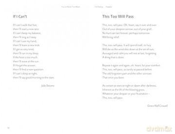 You're Never Too Much: Poems for Every Emotion - Charlie Castelletti [KSIĄŻKA]