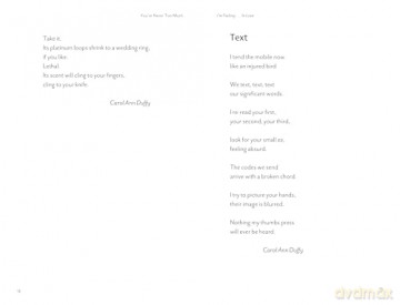 You're Never Too Much: Poems for Every Emotion - Charlie Castelletti [KSIĄŻKA]