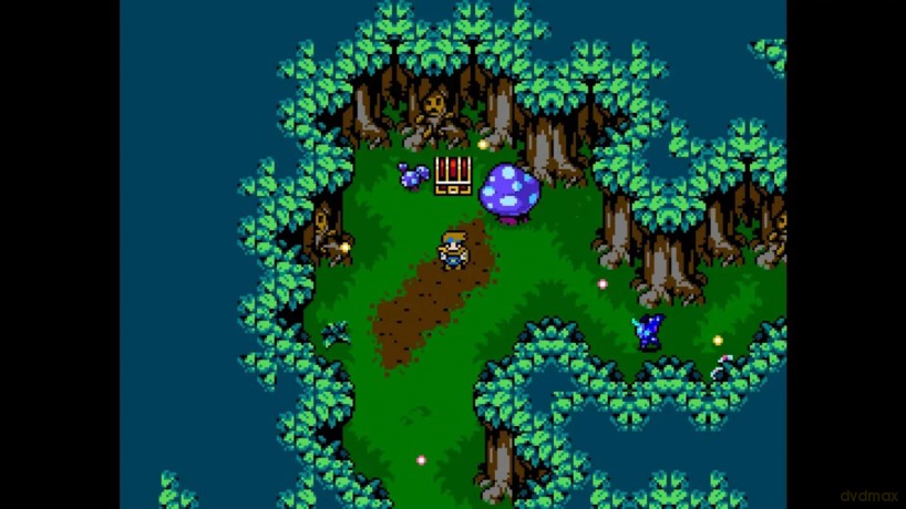 8-Bit Adventures 2 (Limited Run) [GRA SWITCH]