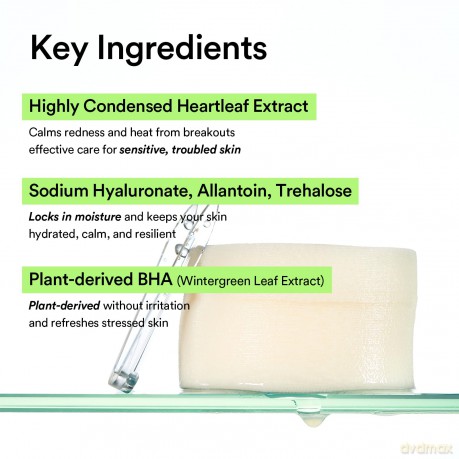 Abib - Heartleaf Spot Pad Calming Touch - 150 ml
