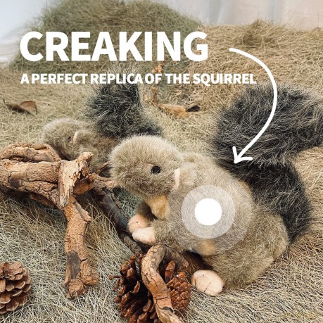 AFP - Classic Squirrel - Size 16 x 18 x 5.5 cm.