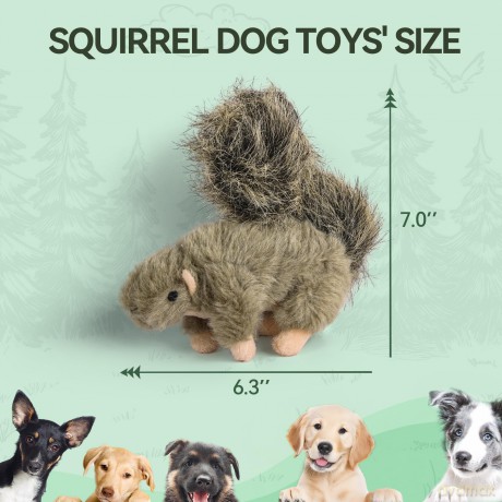 AFP - Classic Squirrel - Size 16 x 18 x 5.5 cm.
