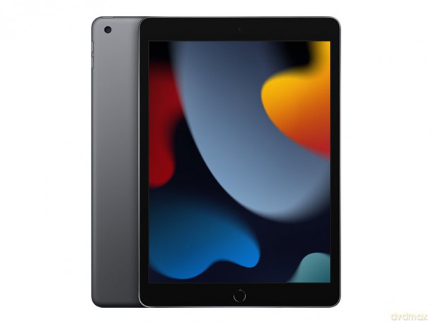 Apple - iPad 10.2 Wi-Fi 9. gen. 256 GB - Space Grey