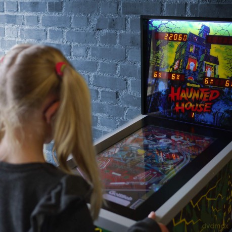 ARCADE 1 Up - Toyshock Pinball - Haunted House