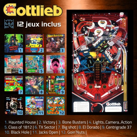 ARCADE 1 Up - Toyshock Pinball - Haunted House