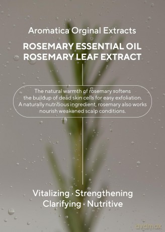 Aromatica - Rosemary Scalp 3-in-1 Treatment - 165 g