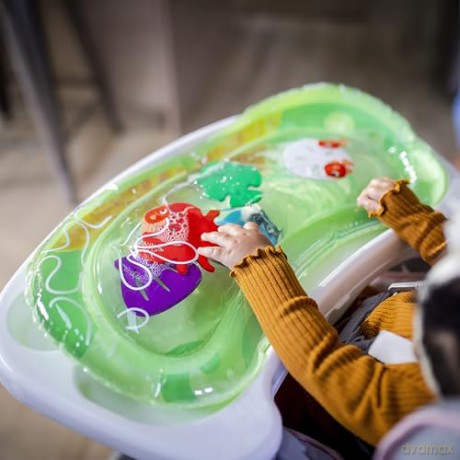 Baby Einstein - Sea Floor Explorersâ˘ 2-in-1 Water Mat Play Gym - (BE-12807)