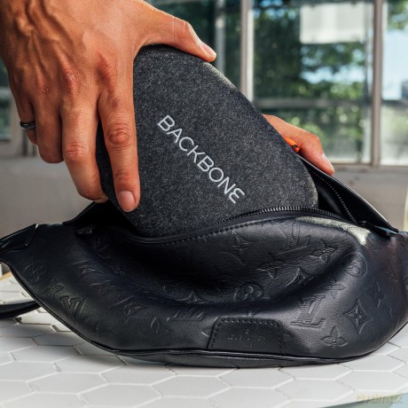 Backbone - One Carrying Case