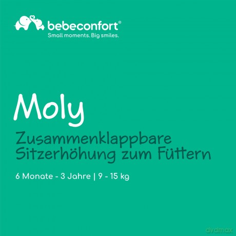Bebeconfort - MOLY TINTED GRAY BOOSTER SEAT - Tinted Gray