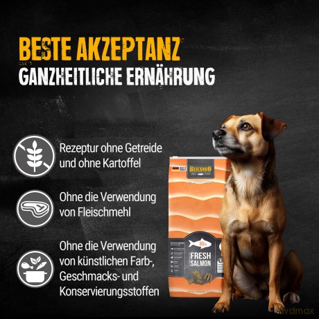 Belcando - MASTERCRAFT Fresh Salmon - 10kg