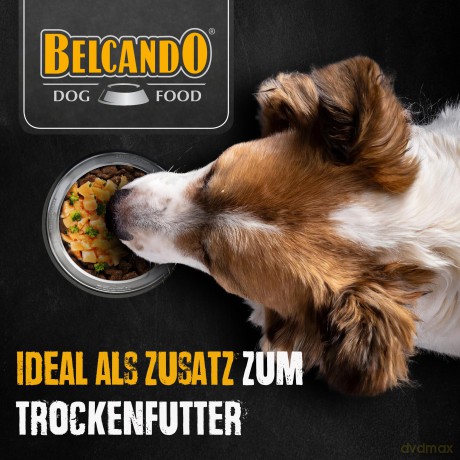 Belcando - MASTERCRAFT Topping Salmon - 12x100g
