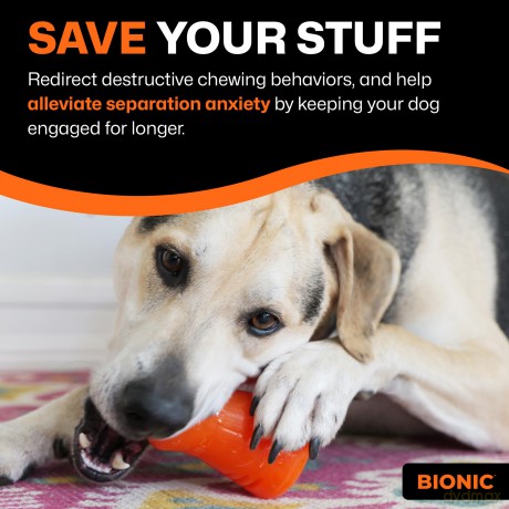 Bionic - BIONIC Treat Shaker - Small