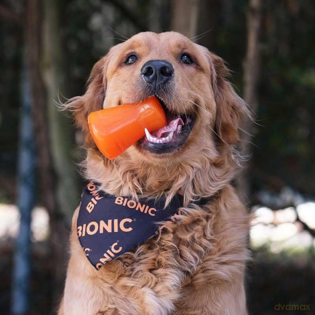 Bionic - BIONIC Treat Shaker - Small