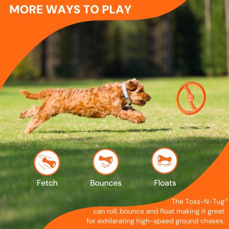 Bionic - Toss-N-Tug Ring - Orange - 22.7 cm