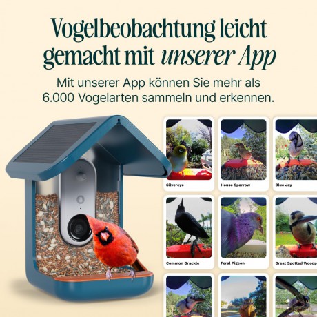 BirdBuddy - Smart Bird Feeder 2.0 Blue with Solar Panel