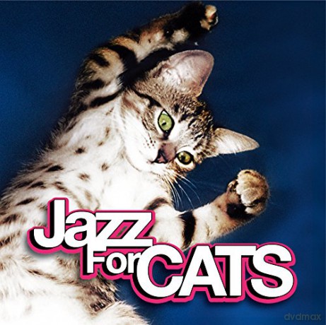 Various Artists: Dreyfus - Jazz For Cats [2CD]