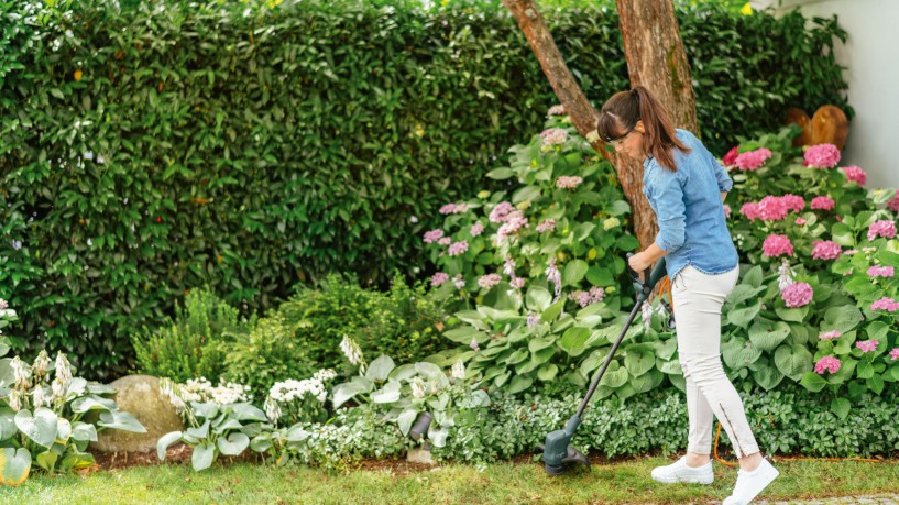 Bosch - Grass Trimmer Easy Grass Cut 26CM (Corded)