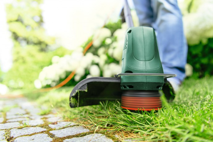 Bosch - Grass Trimmer Easy Grass Cut 26CM (Corded)