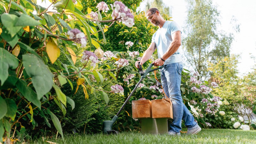 Bosch - Grass Trimmer Easy Grass Cut 26CM (Corded)