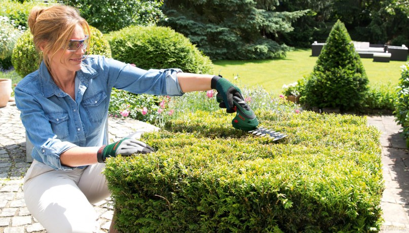 Bosch - Isio Cordless Shrub And Shear Set