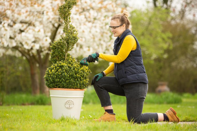 Bosch - Isio Cordless Shrub And Shear Set