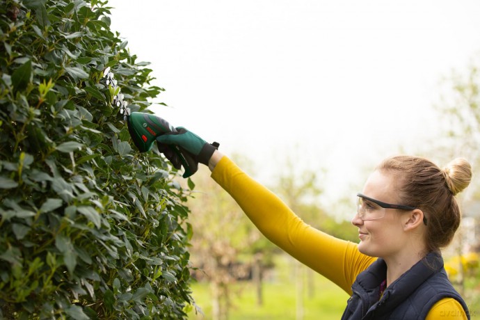 Bosch - Isio Cordless Shrub And Shear Set